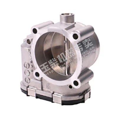 Throttle leictreonach